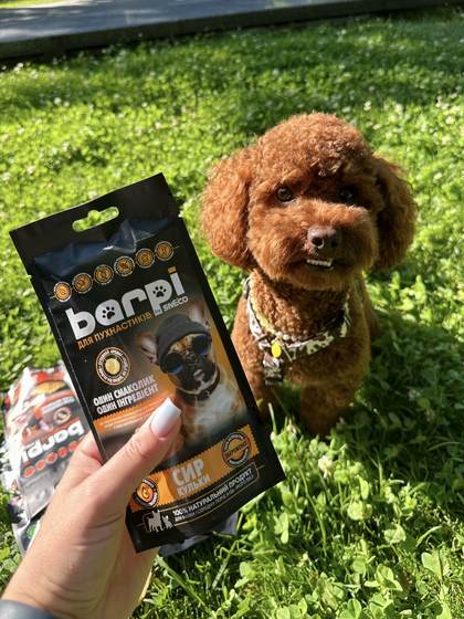 Пудель з пачкою Barpi